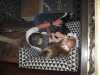 Last Import - 60